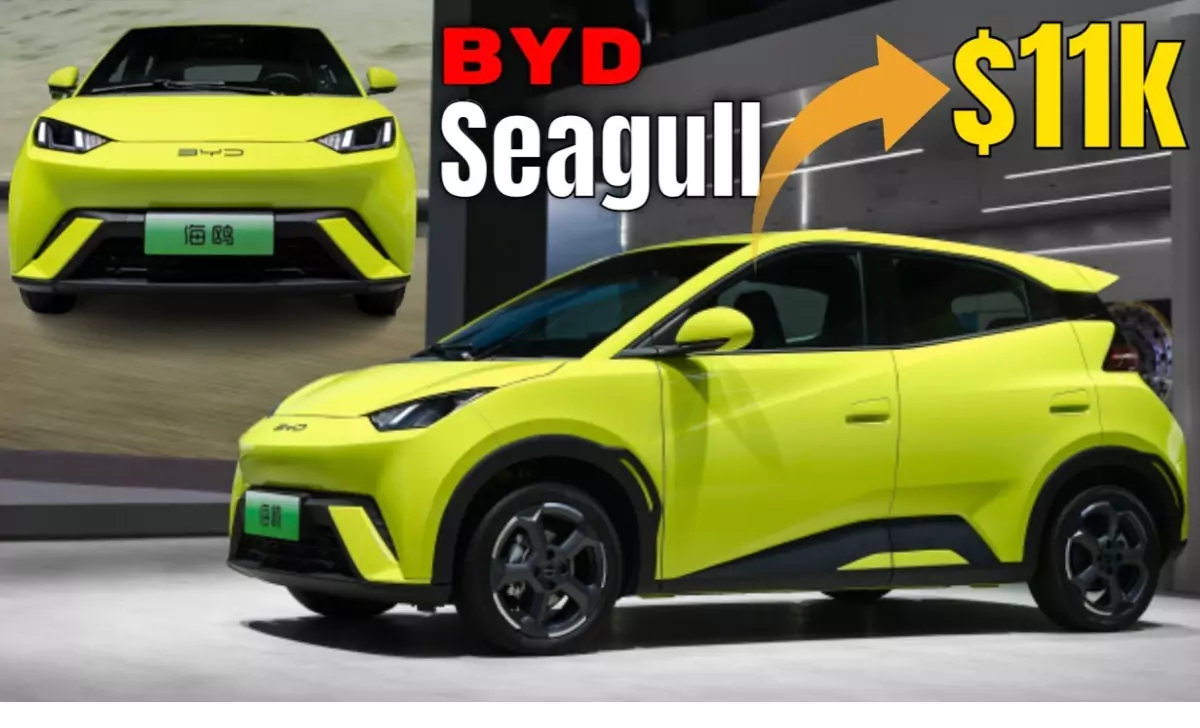 byd-seagull